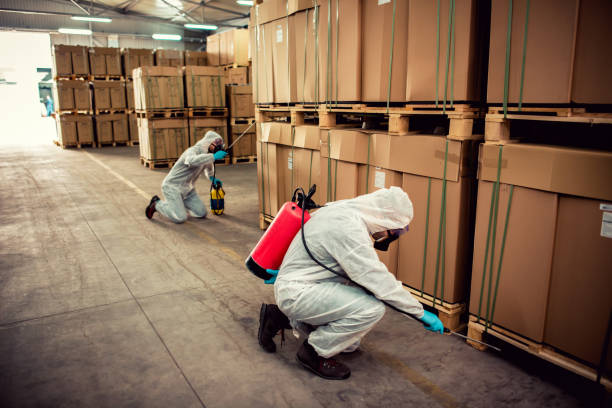 Flea Control Services in Nanakuli, HI