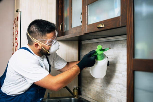 Best Best Pest Control Near Me  in Nanakuli, HI
