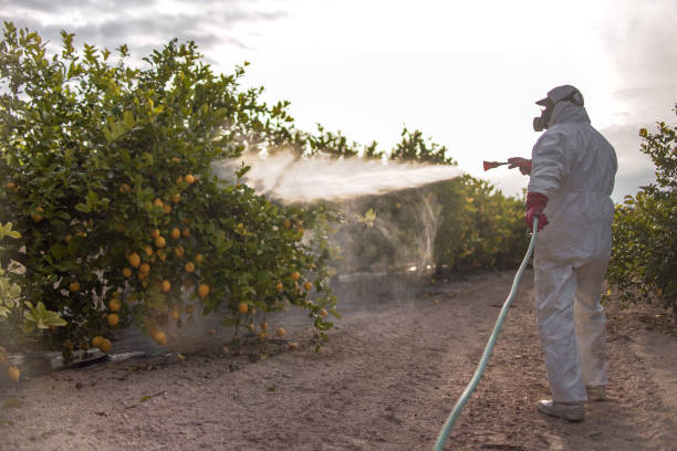 Best Residential Pest Control  in Nanakuli, HI